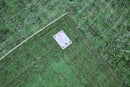 Olive Green Vintage Rug - G456