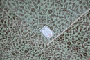 Mint green vintage rug - G467