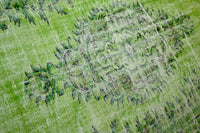 Pure green vintage rug - G533
