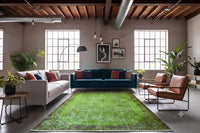 Sprankelend appelgroen vintage vloerkleed - G583