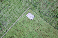 Fris grasgroen vintage vloerkleed - G601