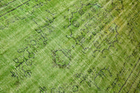 Lush Lime Green Vintage Rug - G649