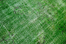 Fresh grass green vintage rug - G654