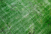Fresh grass green vintage rug - G654
