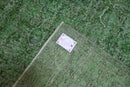 Statig groen vintage vloerkleed - G465 - Lavinta